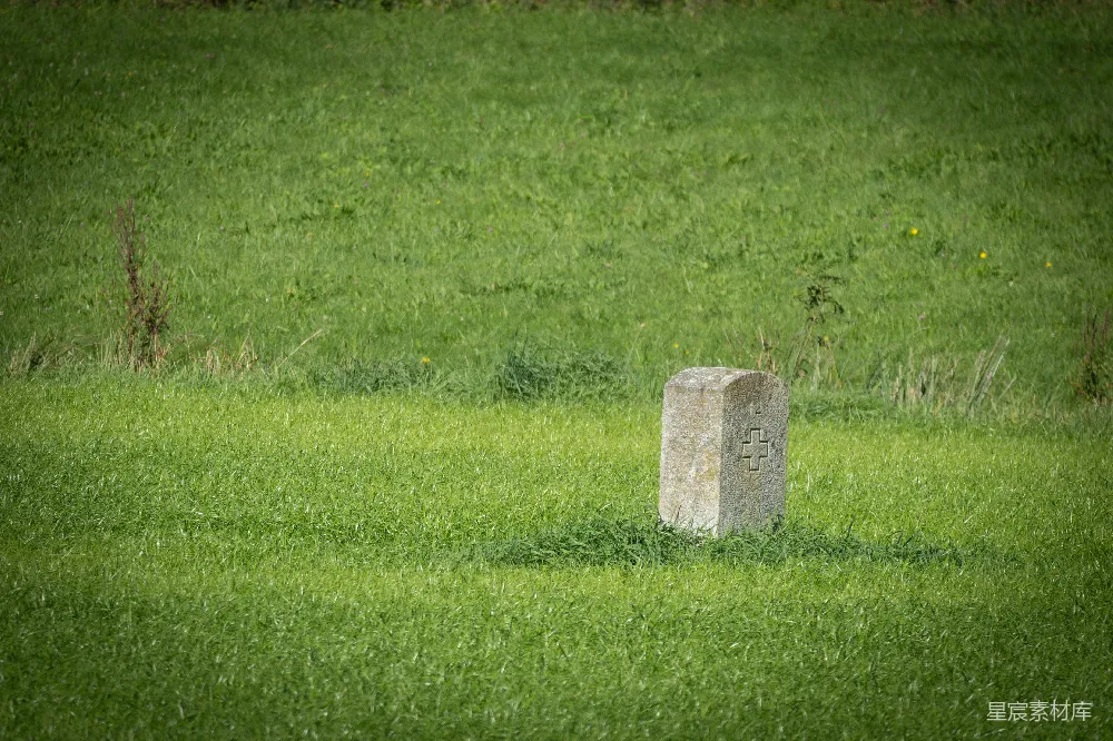 高清摄影  在绿草地上的一块石碑