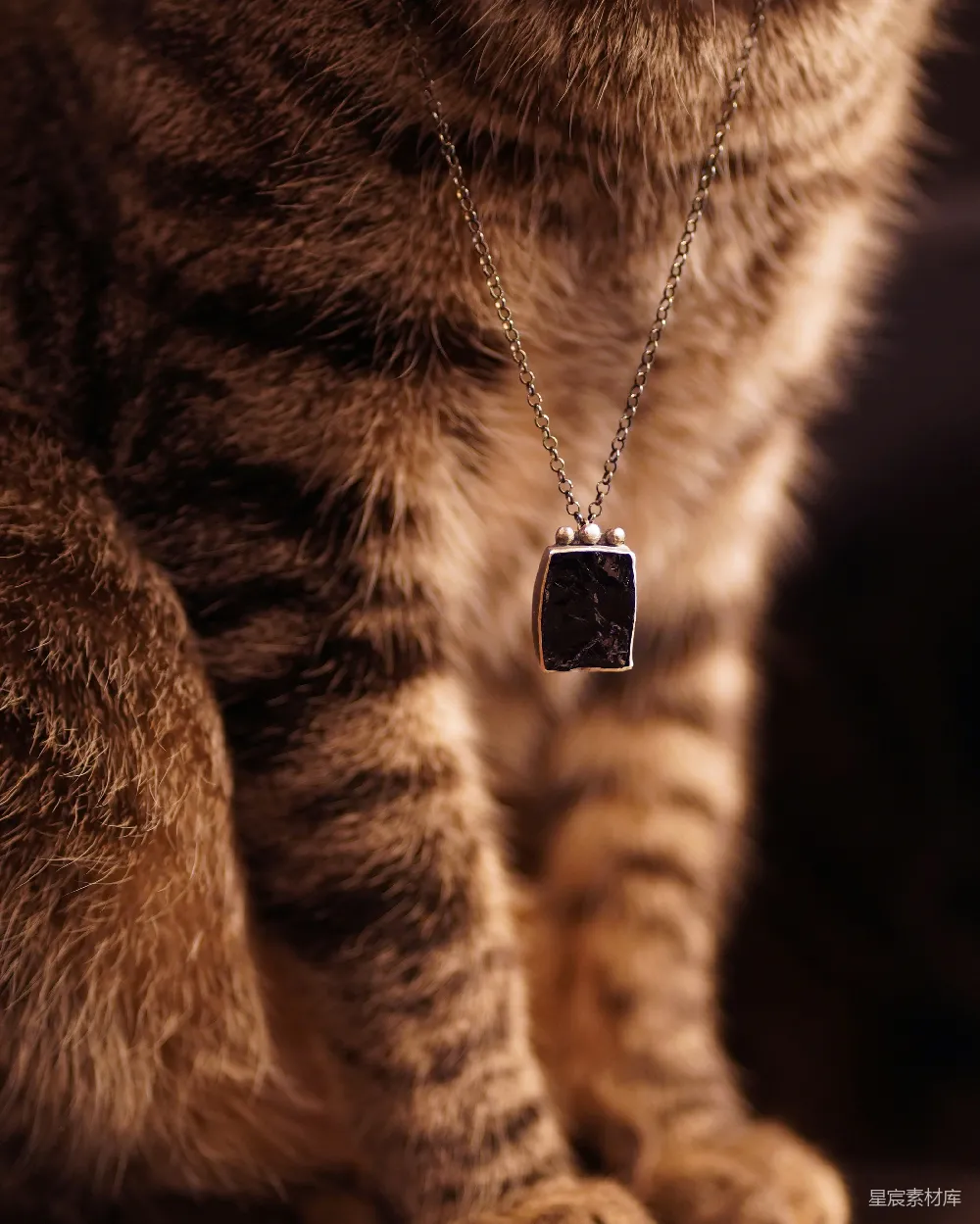 高清摄影  一只虎斑猫戴着一条深色石头吊坠项链。