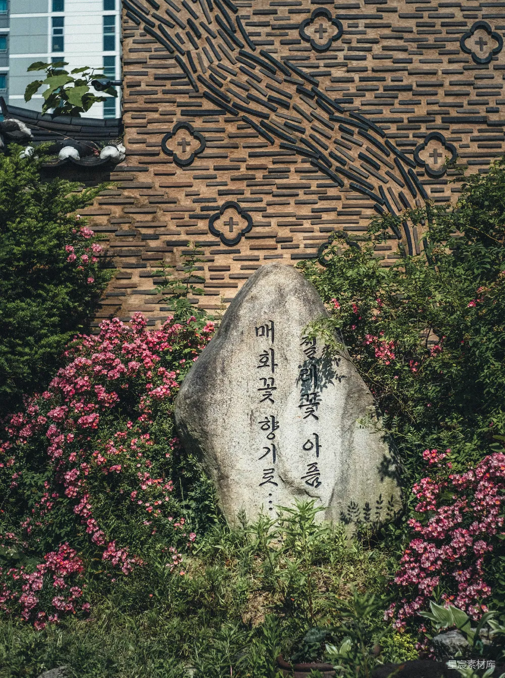 高清摄影  石头上写着韩文，周围环绕着粉红色的花朵和绿色植物。