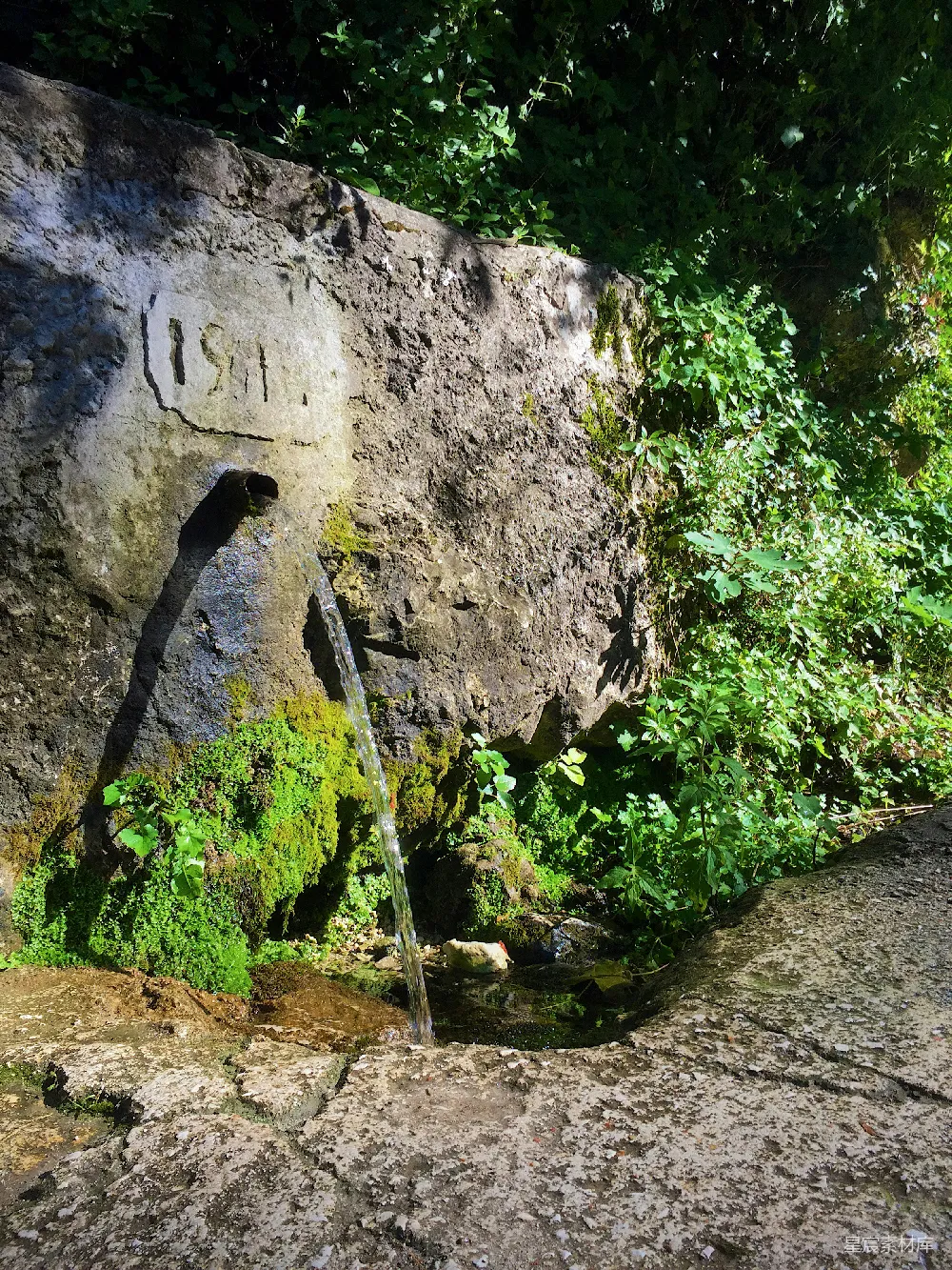 高清摄影  泉水从石头喷泉中流出，周围环绕着绿色植物。
