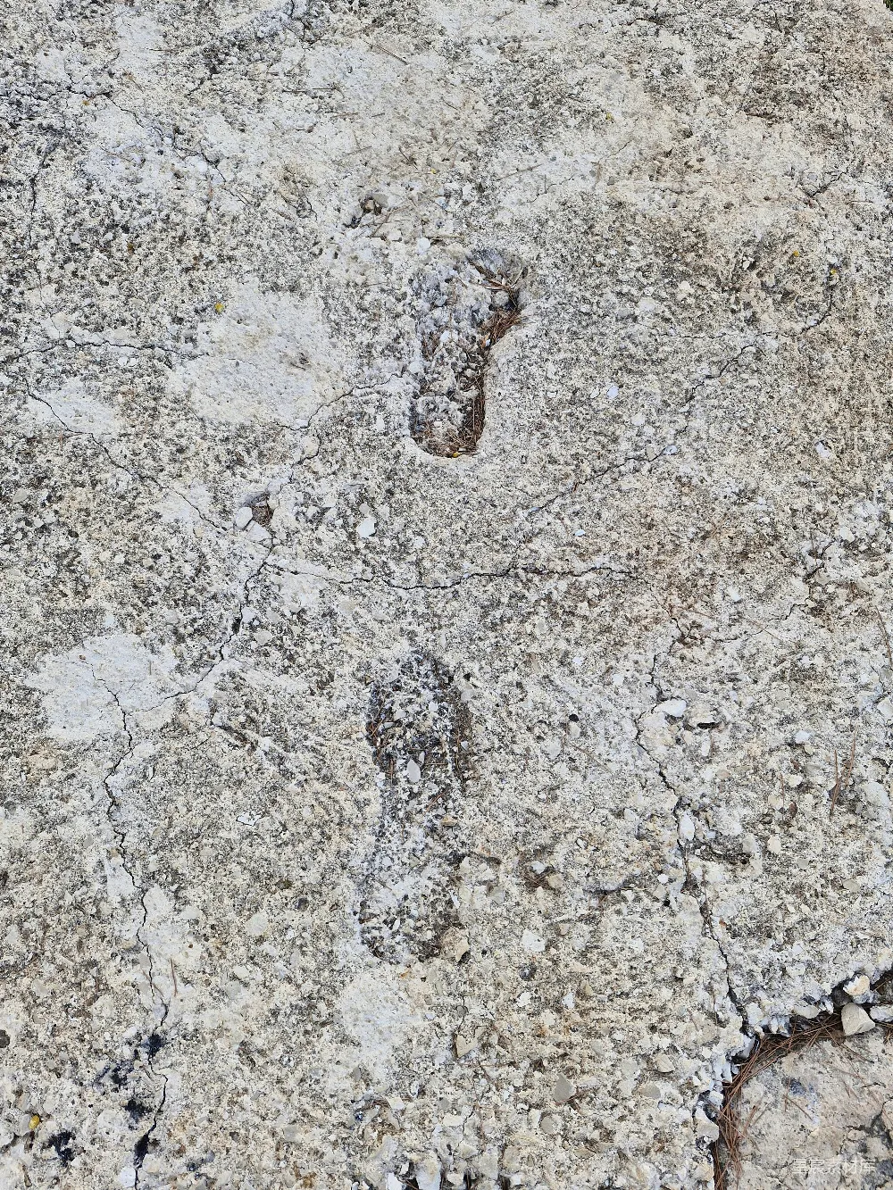高清摄影 壁纸 旅行 人物 自然 一张岩石的特写，岩石上有一只鸟。