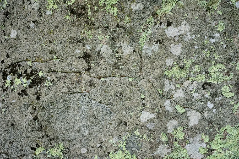 高清摄影  一张岩石的特写照片，上面长着青苔。