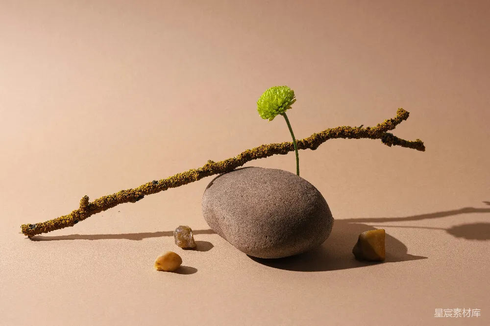 高清摄影  一朵绿色的花和一根枝条平衡在一块石头上。