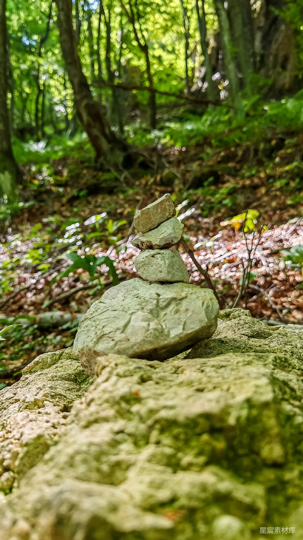 高清摄影  平衡岩石堆在一个充满生机、阳光明媚的森林中。