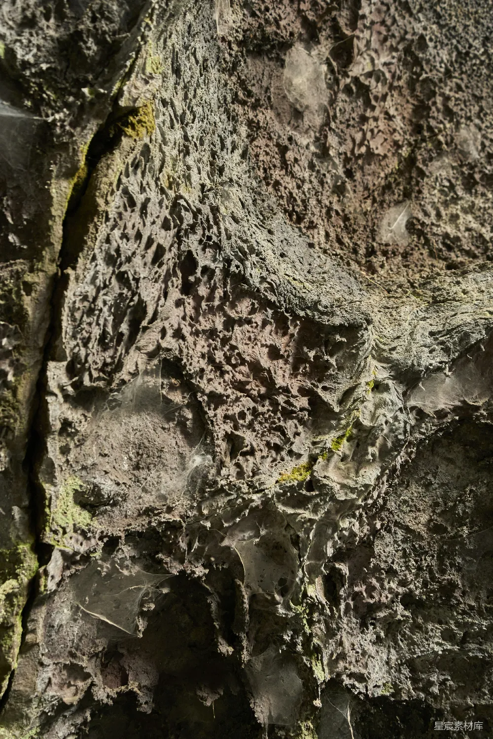高清摄影 自然 接近镜头拍摄的多孔火山岩，上面覆盖着苔藓。