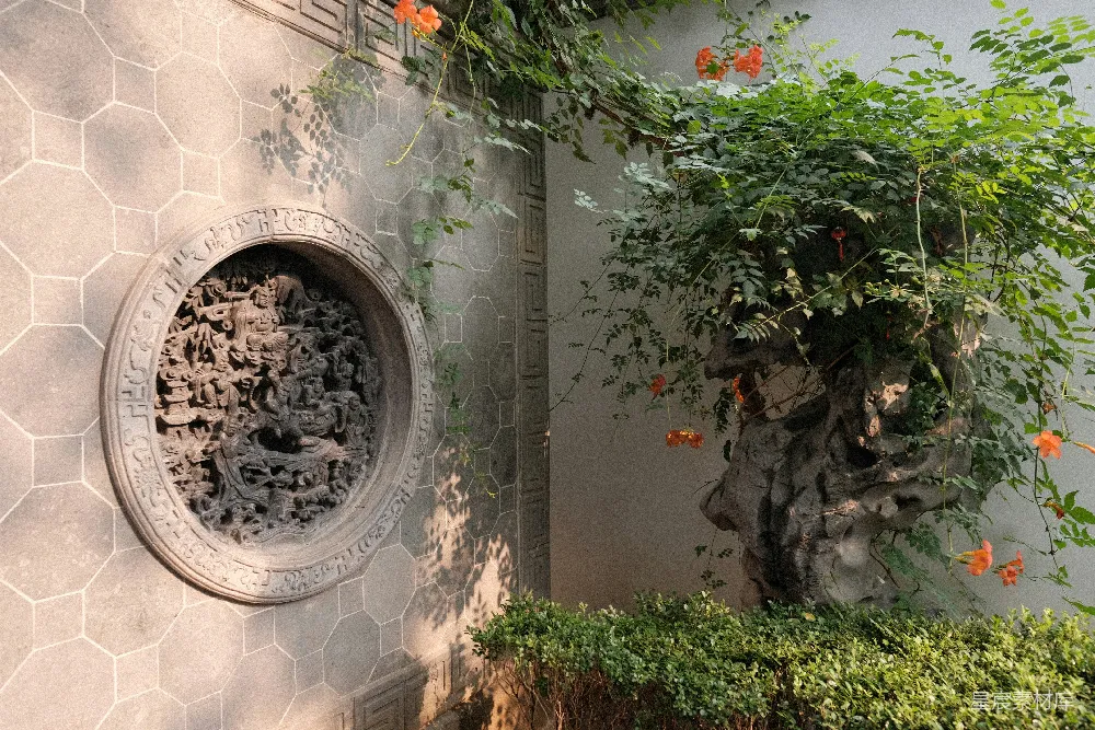 高清摄影 旅行 几盆盆栽植物放在墙上。