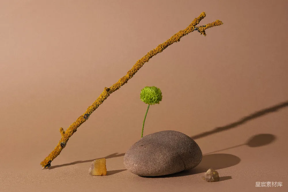 高清摄影  黄色的棍子，绿色的花，棕色背景上的石子。