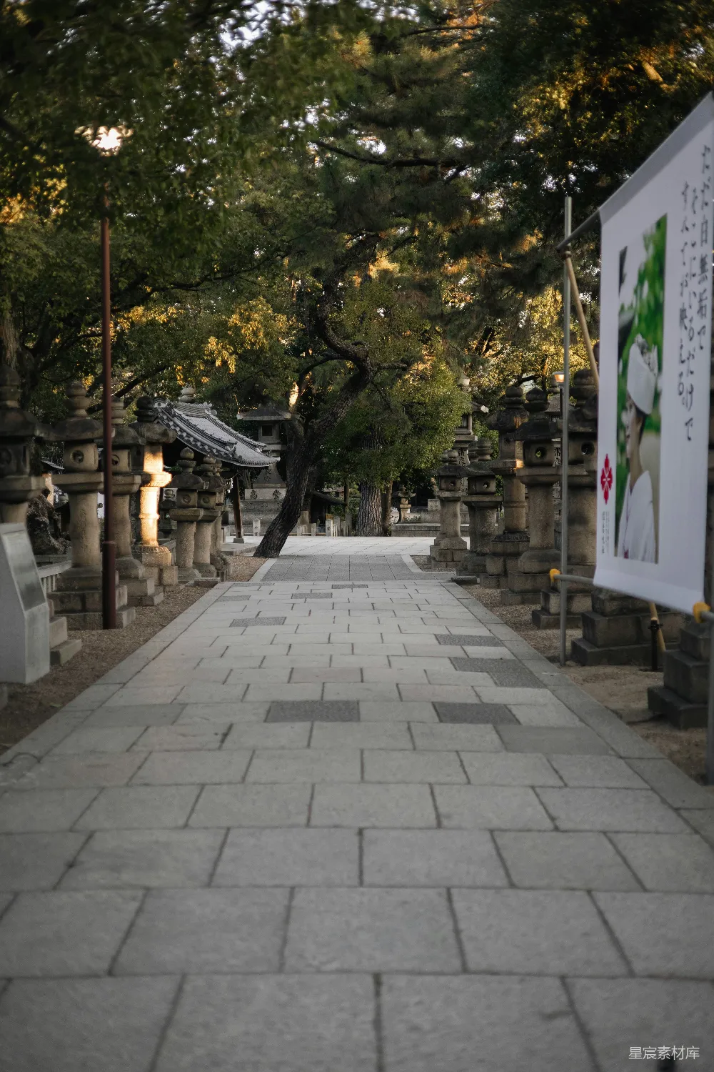 高清摄影  石板小径两旁排列着灯笼和树木