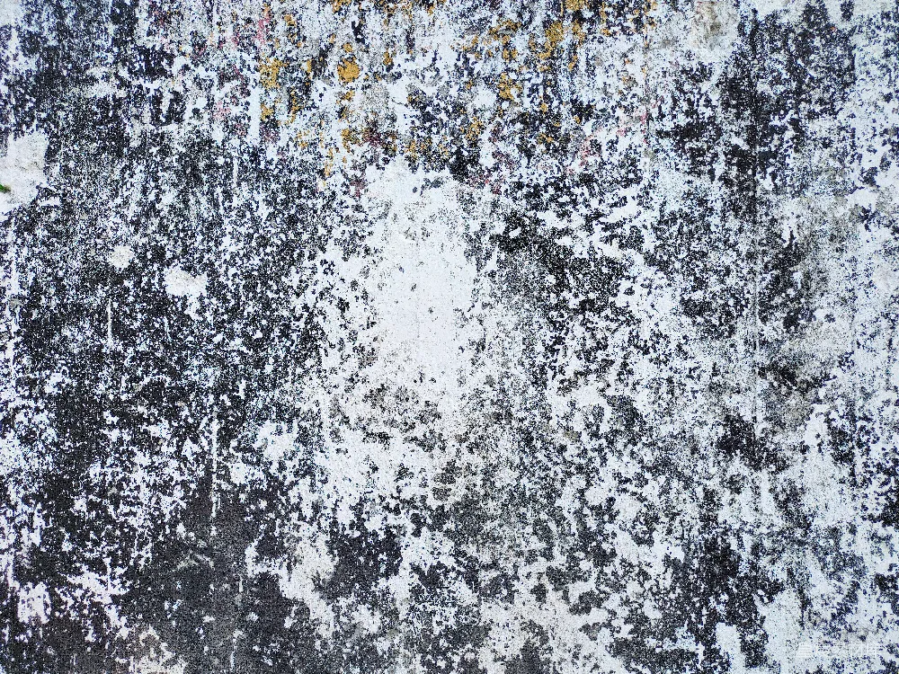 高清摄影 壁纸 实验性 白色和黄色的抽象画