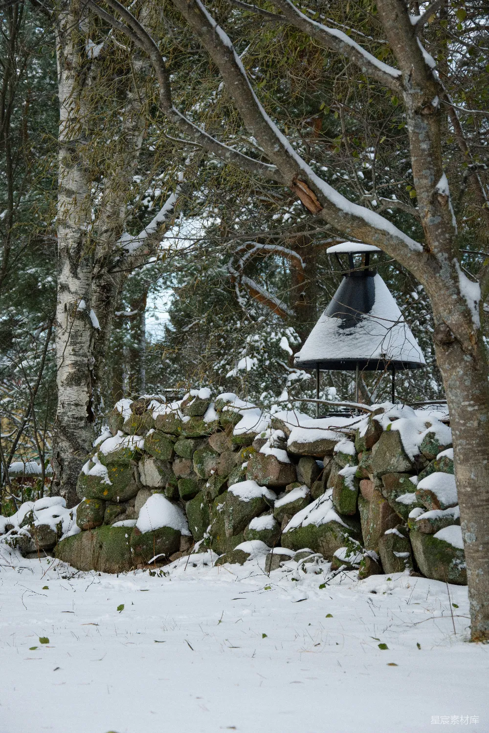 高清摄影  一堆雪地里的石头旁边有一片森林