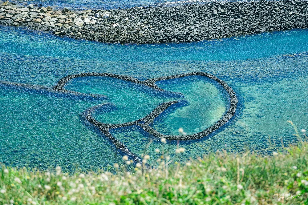 高清摄影  水边的绿色草地在白天