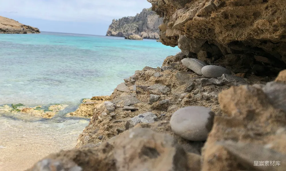 高清摄影  一群海豹在岩石海滩上。