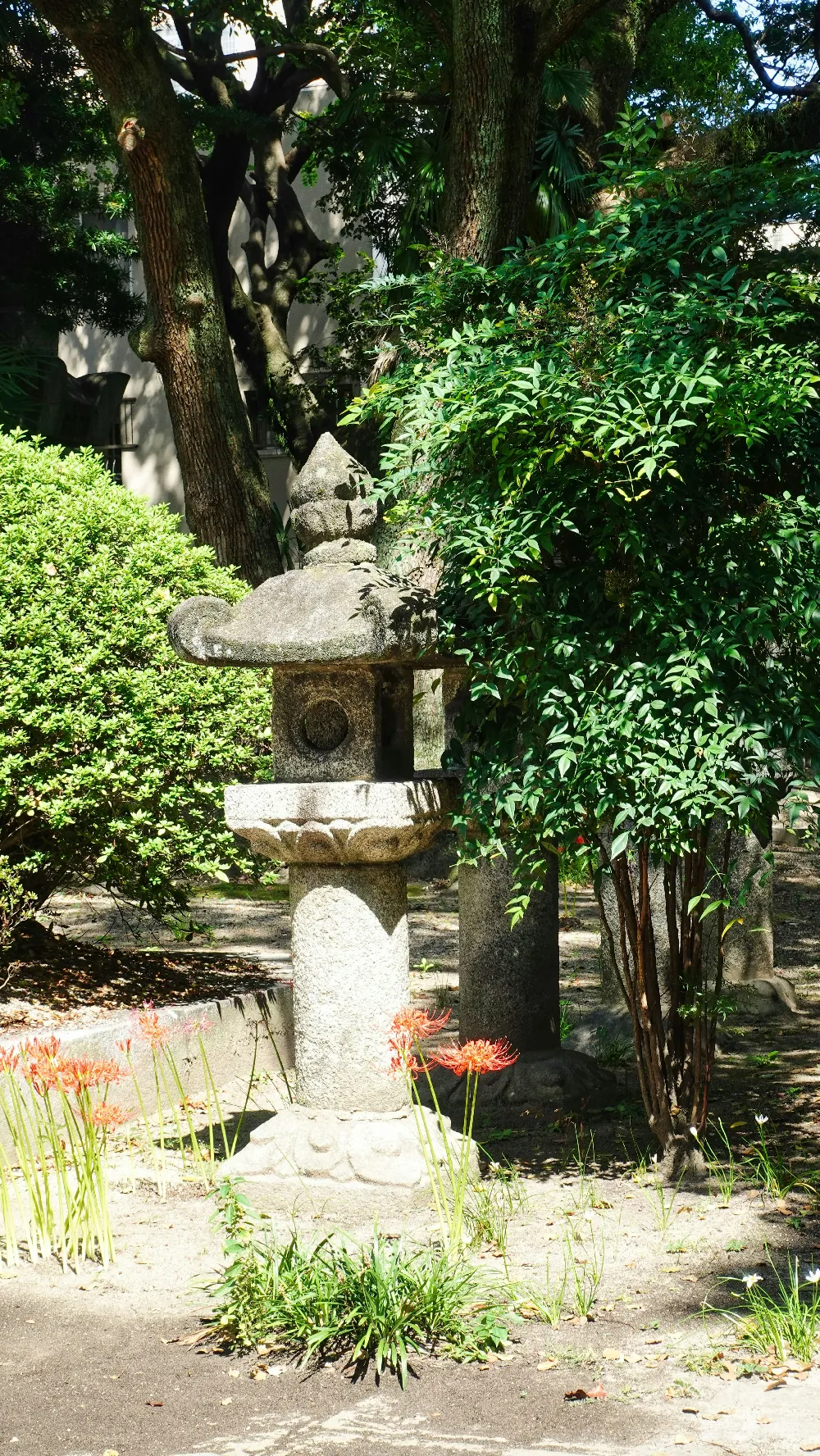 高清摄影  花园中央的石灯笼