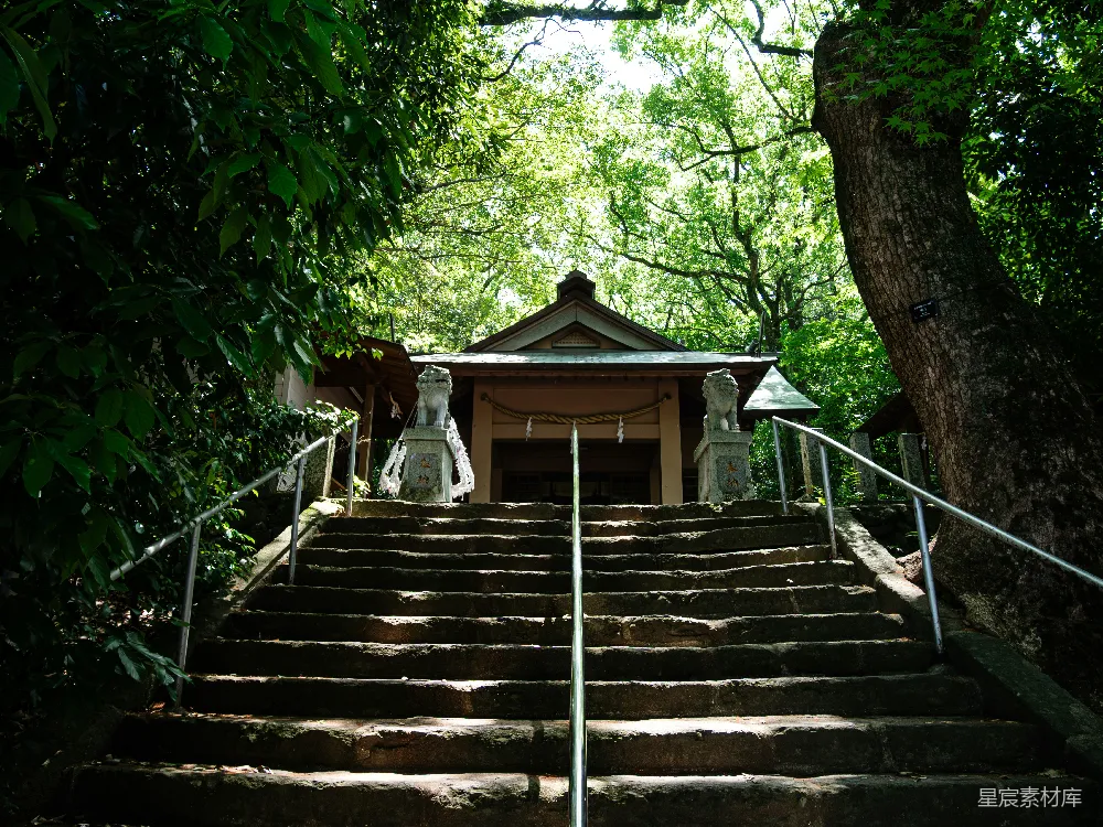 高清摄影  古老的石阶通向一座静谧的日本神社。