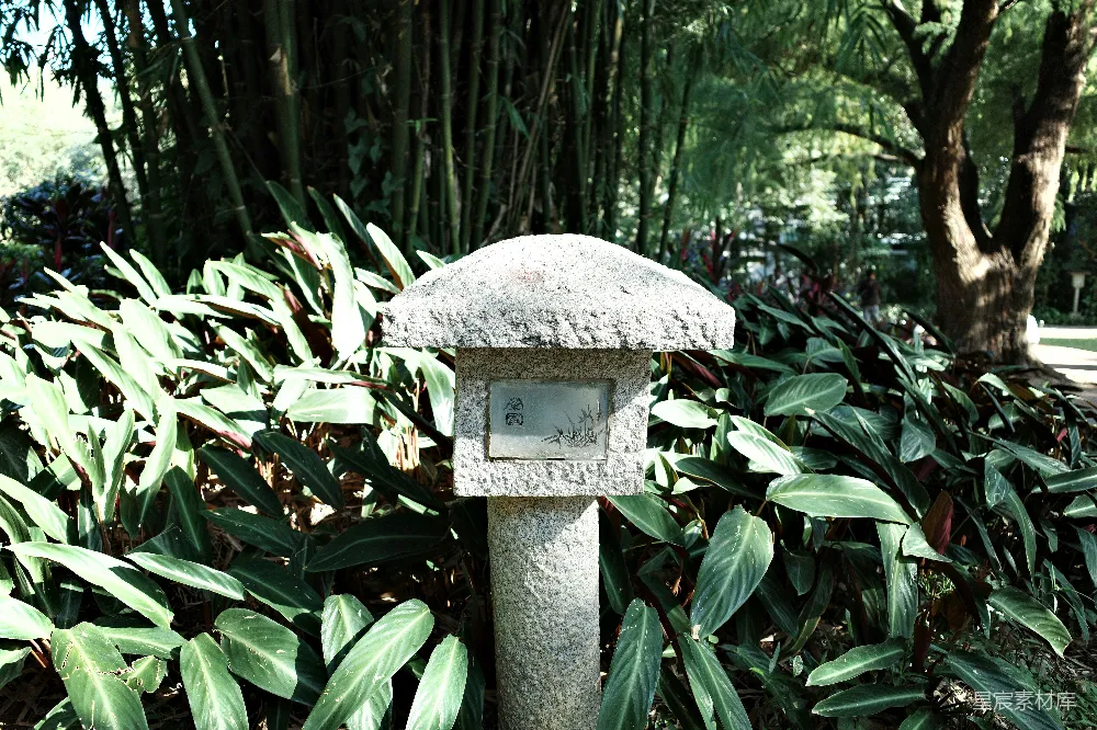 高清摄影  石灯笼周围环绕着茂密的绿叶。