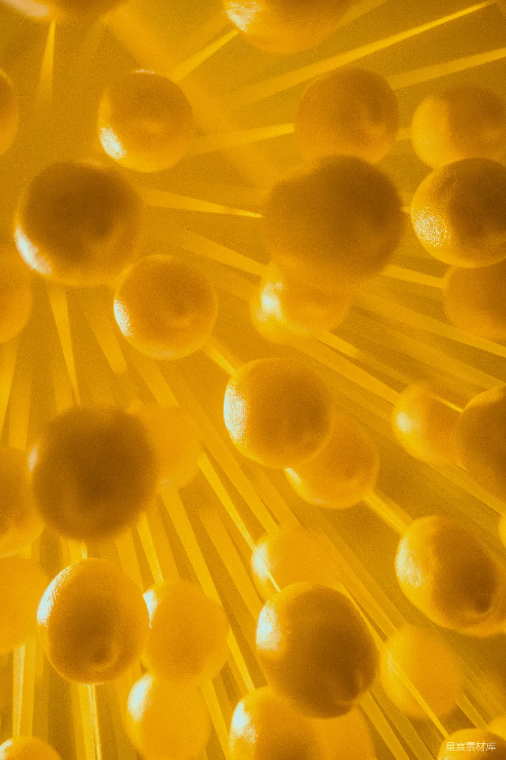高清摄影  一张黄色球体的特写照片。