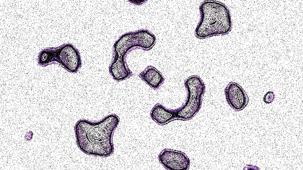 高清摄影  抽象的形状漂浮在白色背景上。