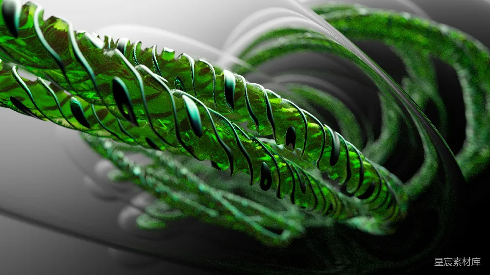 高清摄影  一张绿色植物的特写照片