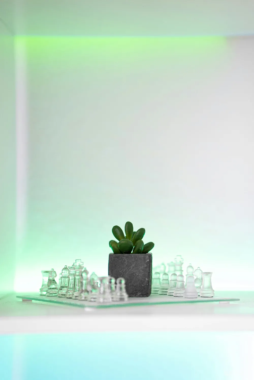 高清摄影  一个小盆栽植物放在棋盘上。