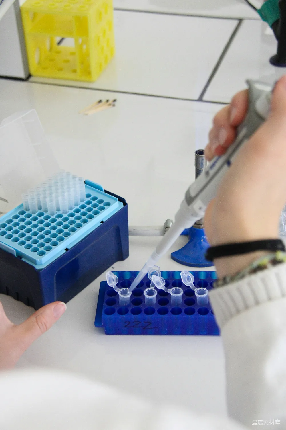 高清摄影  一名科学家在实验室里使用移液管。