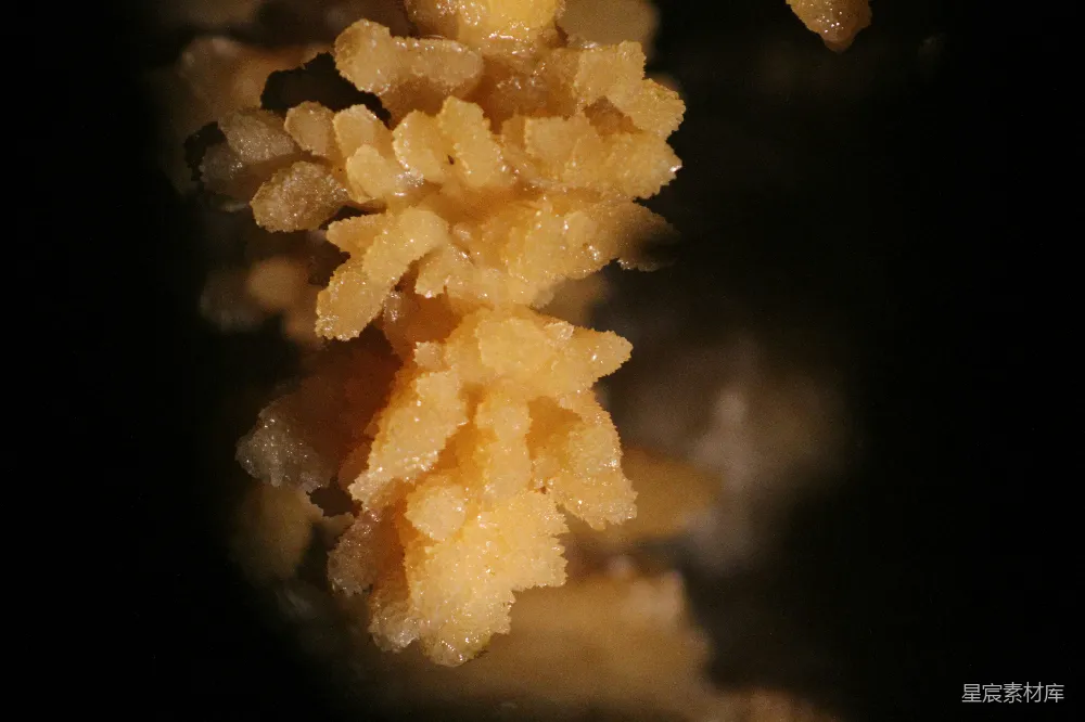 高清摄影  一张桌子上的一堆食物的特写镜头