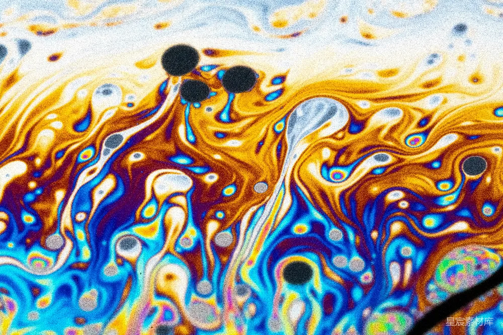 高清摄影  一只蓝白斑点的物体的特写照片