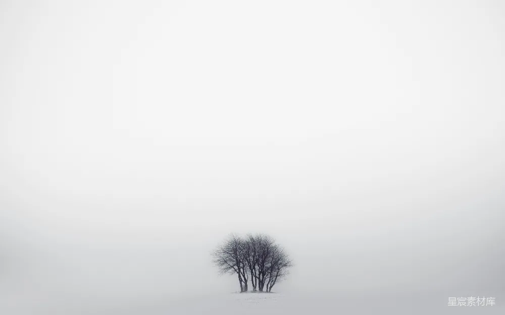 高清摄影 实验性 自然 壁纸 旅行 雪地中间的一棵孤树