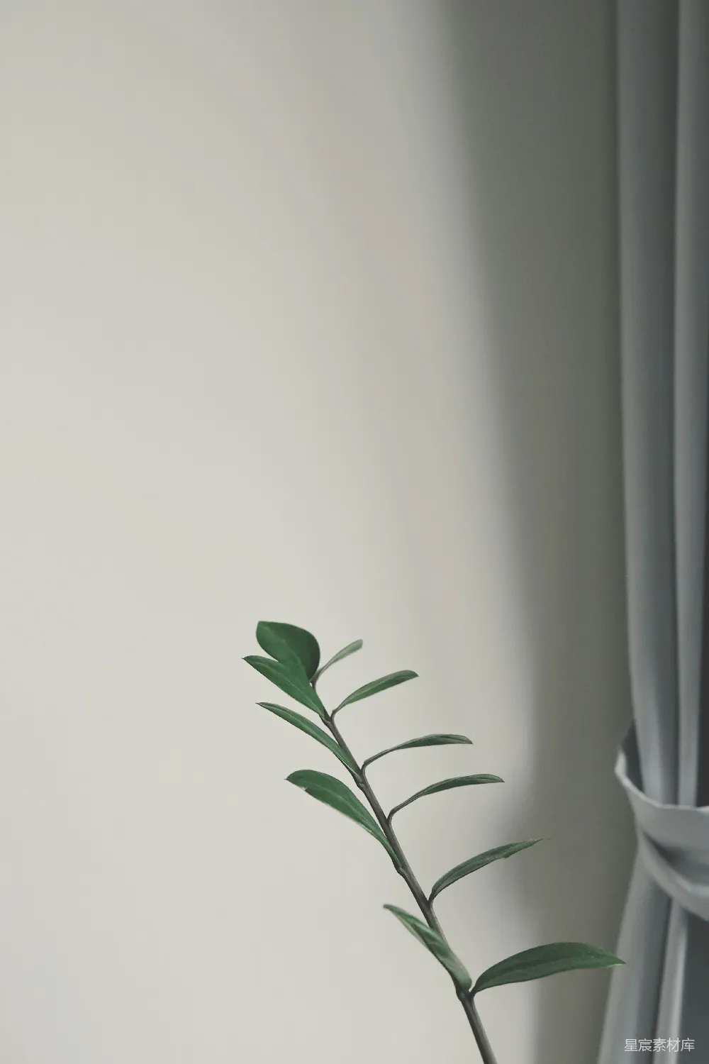 高清摄影  一个花瓶放在绿色植物的顶部。