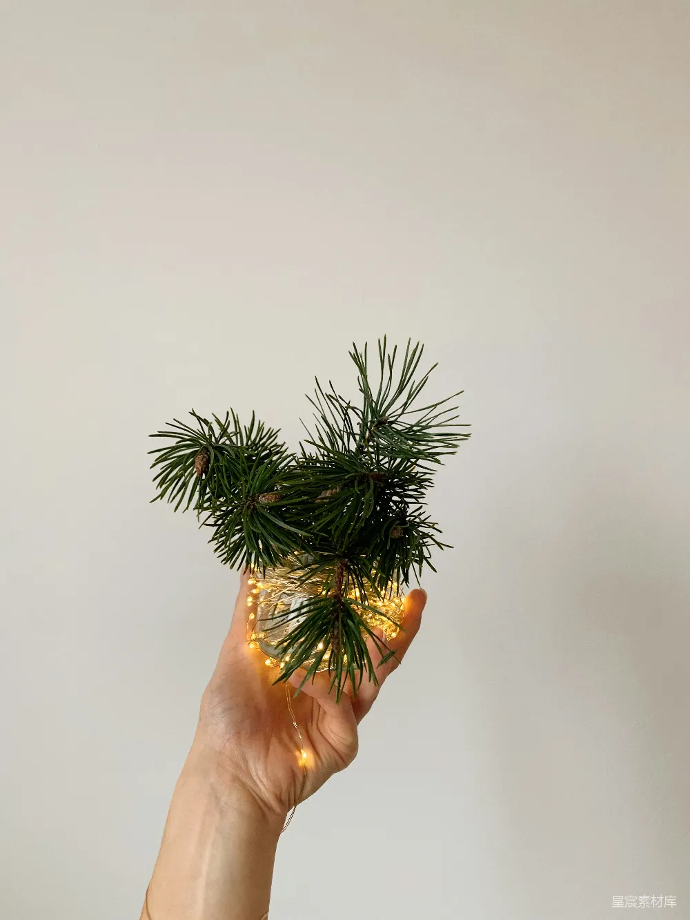 高清摄影  一只手握着一棵小松树，树上挂着灯。