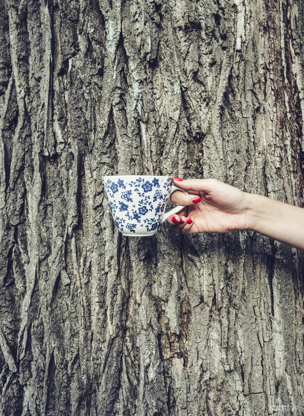 高清摄影  手持白色和黑色花卉陶瓷杯的人