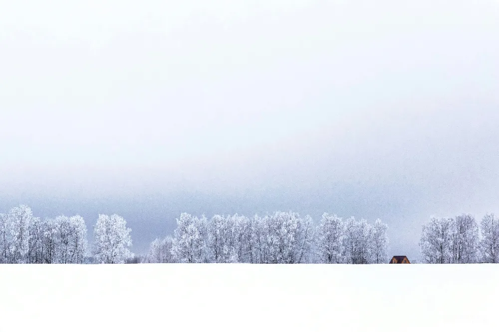 高清摄影 自然 白雪覆盖的地面上的一座棕色的房子
