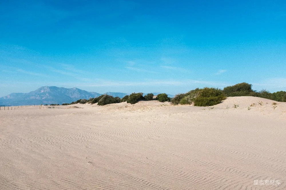 高清摄影  一片广阔的沙地，背景中有树木和山脉。