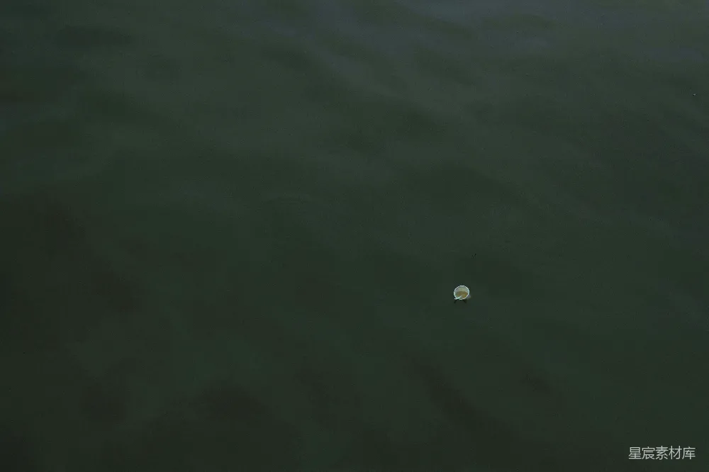 高清摄影  一个白色物体漂浮在水面上。