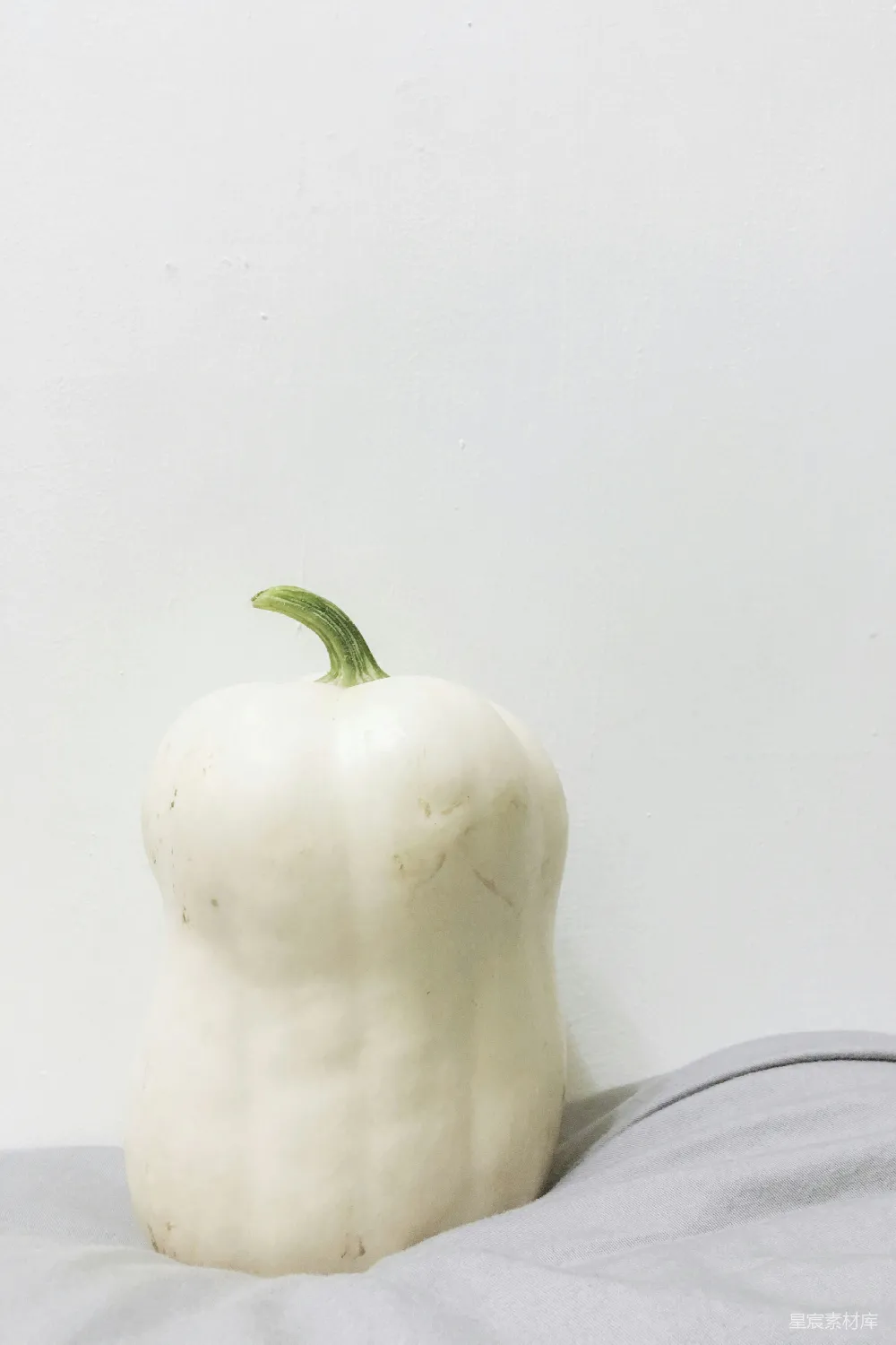 高清摄影  椭圆形的白蔬菜