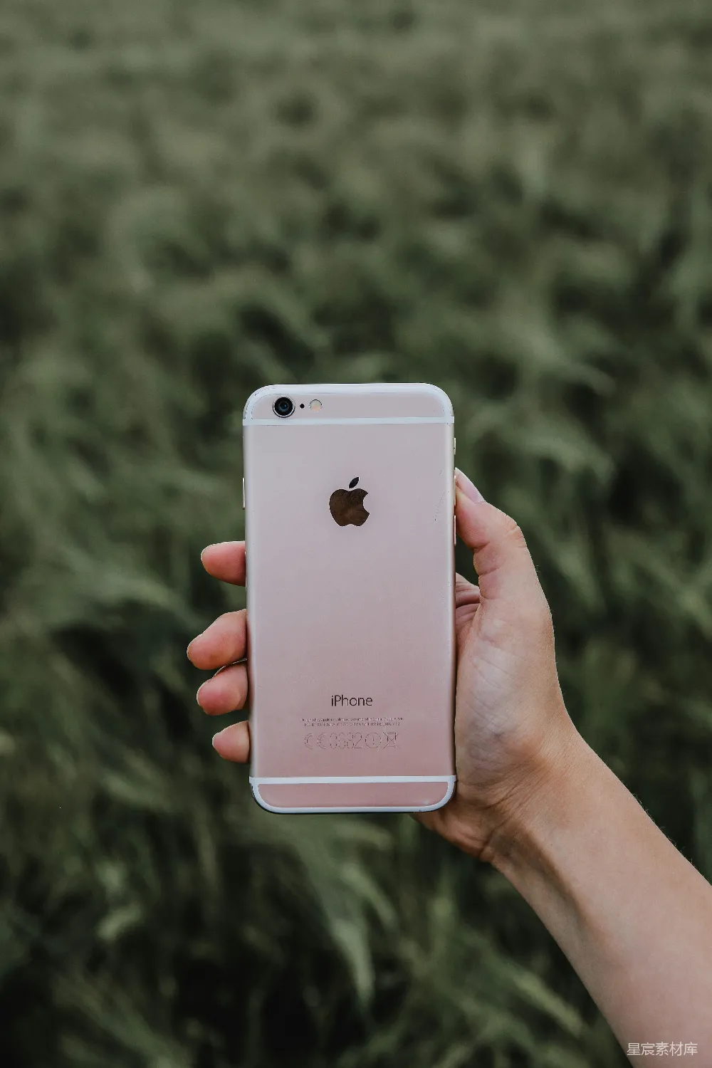 高清摄影  拿着玫瑰金色iPhone 6s的人