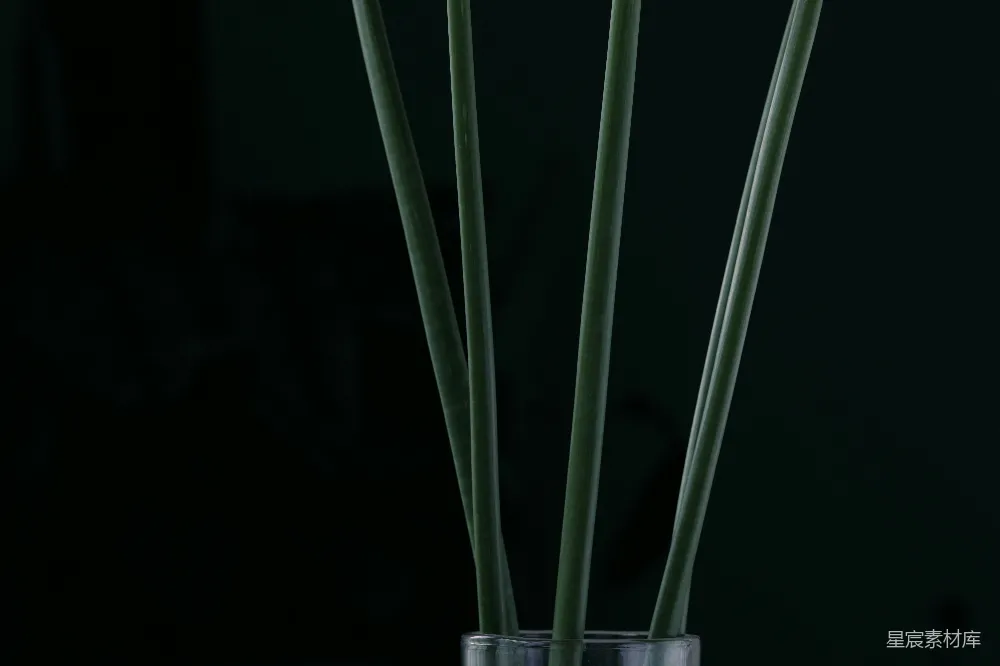 高清摄影  绿色的棍子在黑色的背景前。