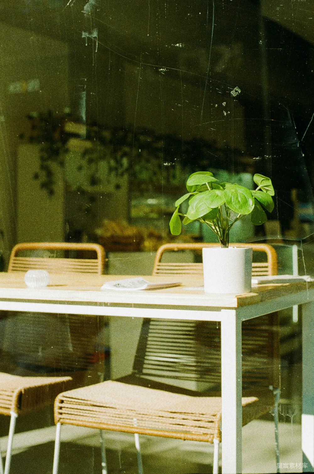 高清摄影 电影 桌上的盆栽绿植透过窗户看去。