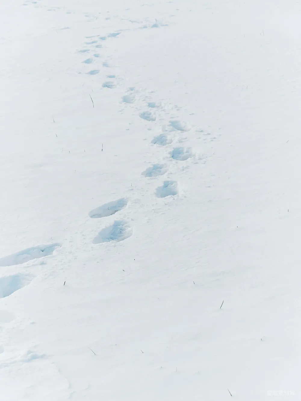 高清摄影 壁纸 自然 实验性 一个男人在雪覆盖的斜坡上滑雪。