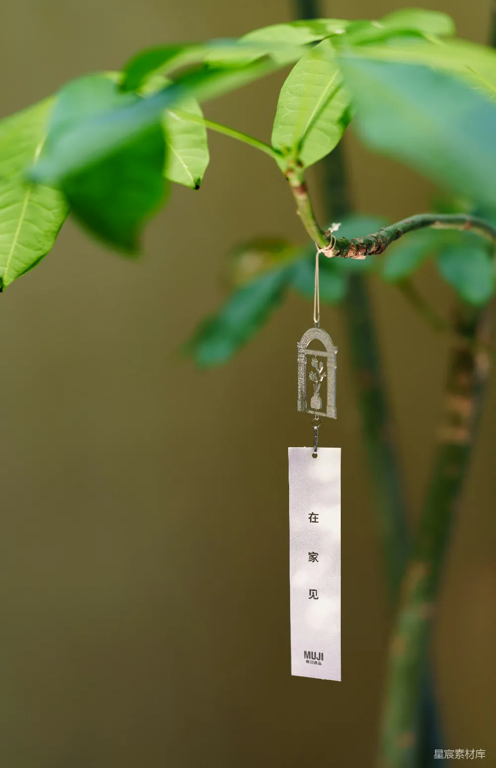 高清摄影  风铃挂在树叶繁茂的树枝上。