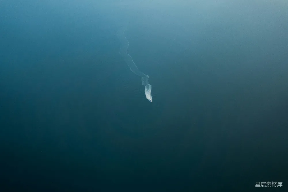 高清摄影  白鸟在海上飞翔