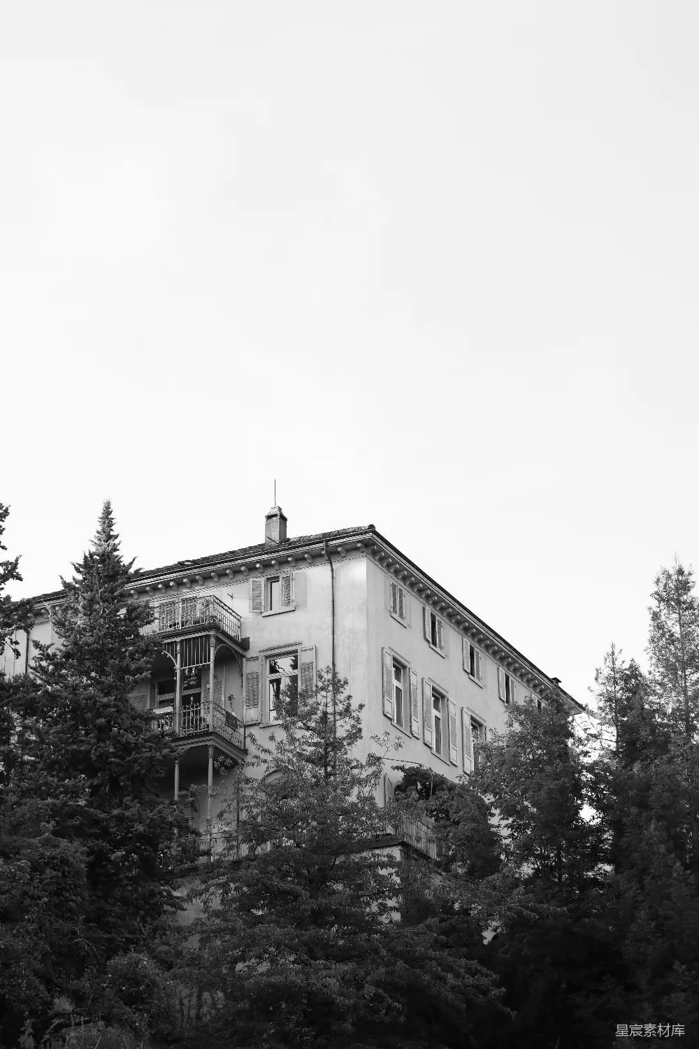 高清摄影  黑白色调的建筑物照片，周围环绕着树木。