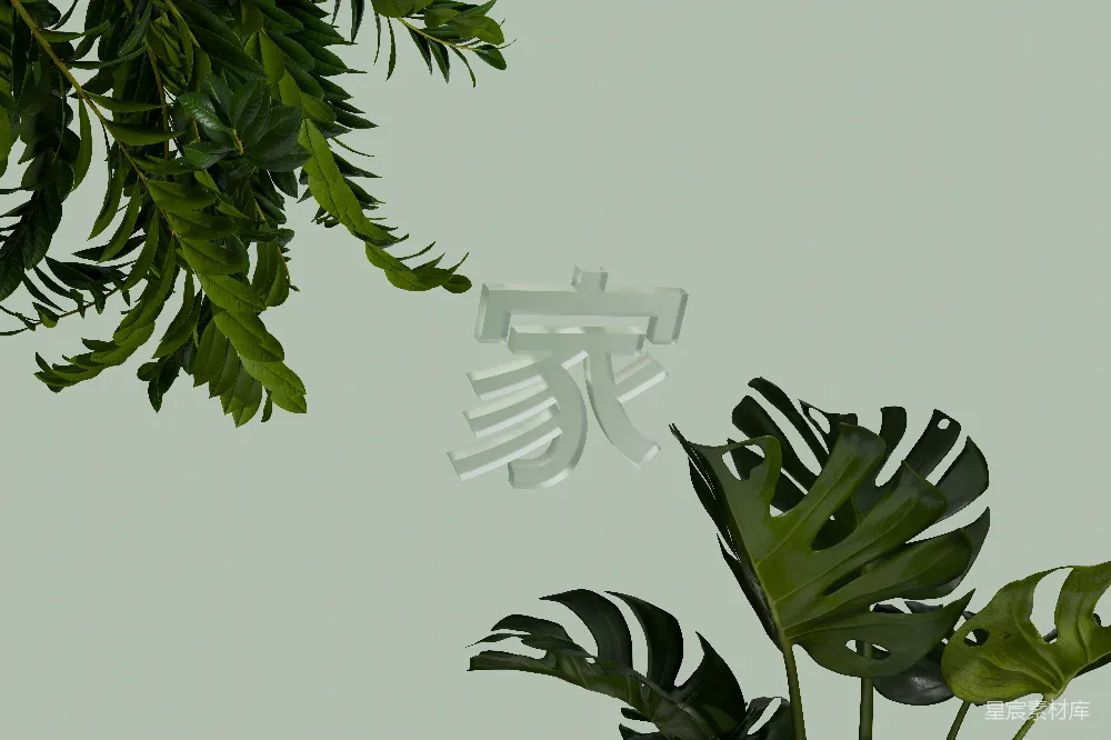 高清摄影  一株上面有汉字的绿色植物