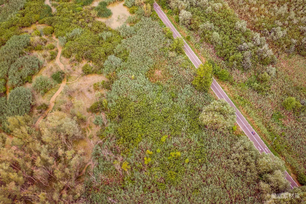 高清摄影 自然 旅行 壁纸 一幅道路被树木环绕的空中俯瞰图