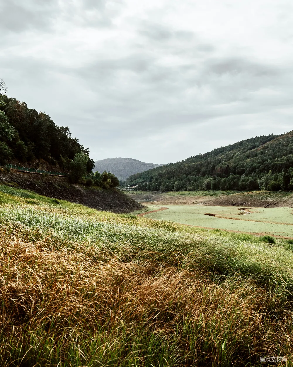高清摄影 自然 近湖绿色草地白天在白云之下 daytime near lake green grass field under white sky