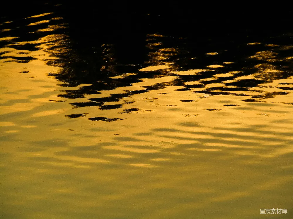 高清摄影  一只鸭子漂浮在水面上
