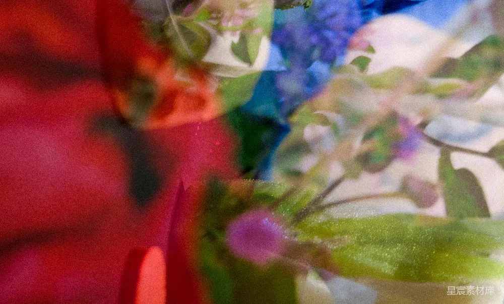 高清摄影  白色和紫色的花在清澈的玻璃花瓶中。