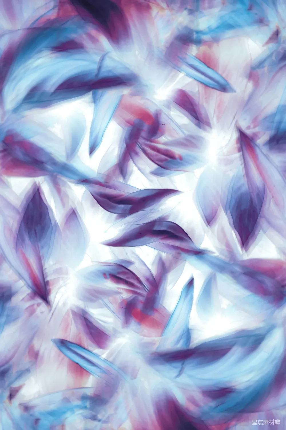 高清摄影 壁纸 实验性 一幅蓝紫色叶子的抽象画