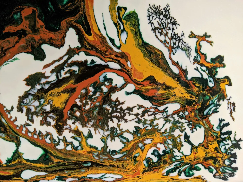 高清摄影  一幅抽象画中的树枝