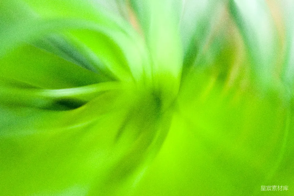 高清摄影  显微镜头下的绿花