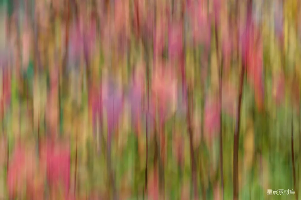 高清摄影 实验性 绿色和粉色抽象画